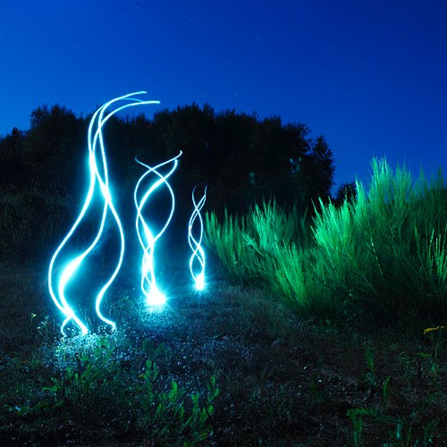 lightmark