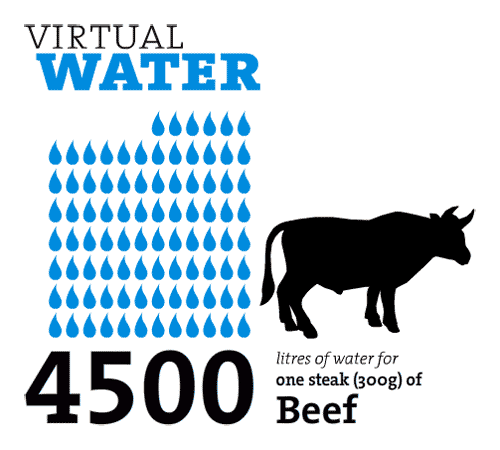 Virtual Water