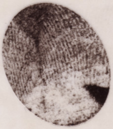 Fingerabdruck von Günther Platter