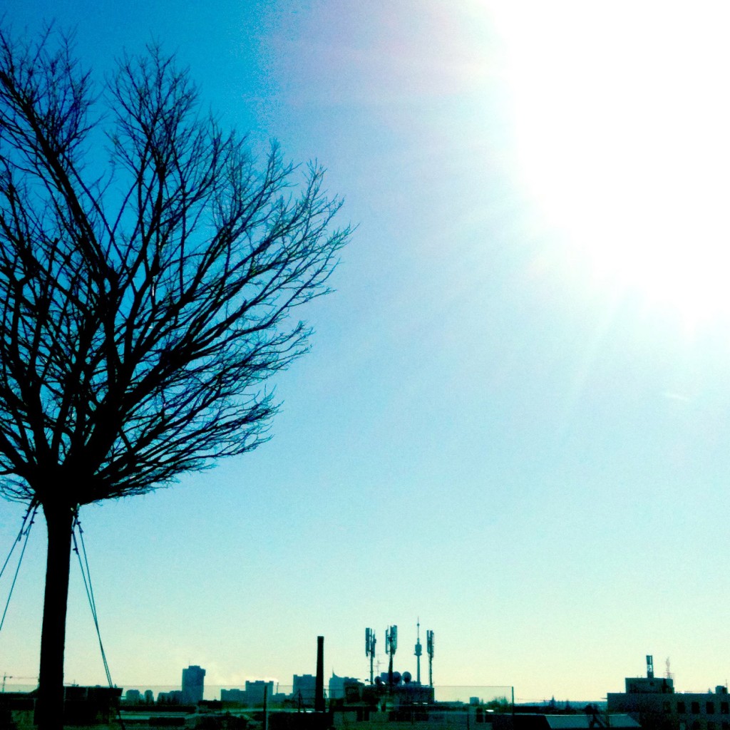 Slightly Warmer February Days