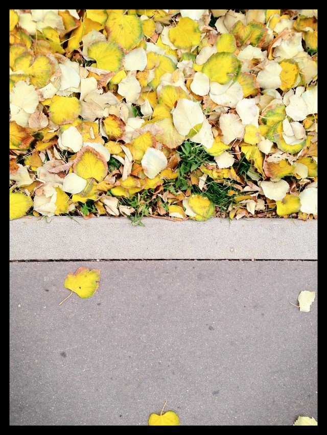 Herbst 1.000.000.000/√¢ÀÜ≈æ