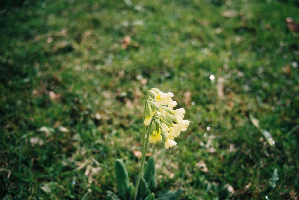 Spring is finally coming